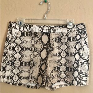 Jennifer Lopez dressy shorts